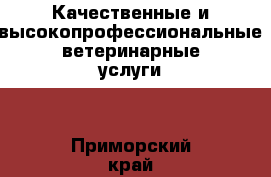 Качественные и высокопрофессиональные ветеринарные услуги! - Приморский край, Артем г. Животные и растения » Услуги   
